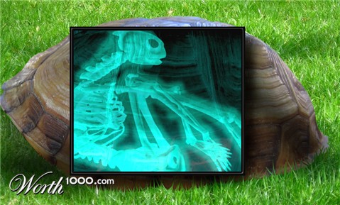 Photoshop Design by chumman