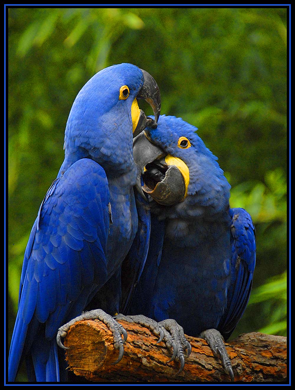 Photography by cshutt for DesignCrowd (Community Contests) | Design #8956911