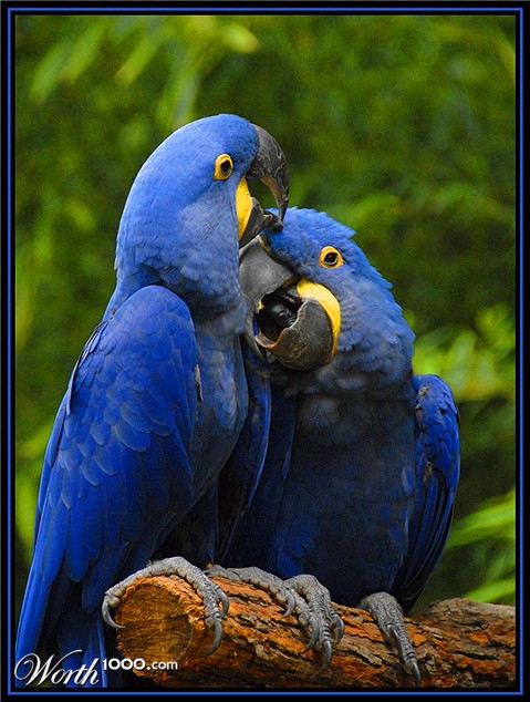 Photography by cshutt