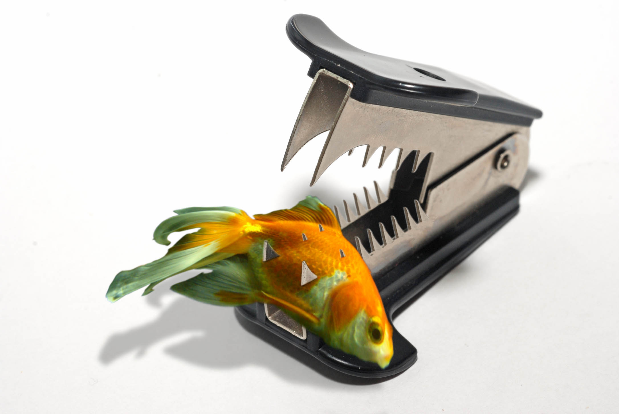 Photoshop Design by Dave0585 for DesignCrowd (Community Contests) | Design #8955795