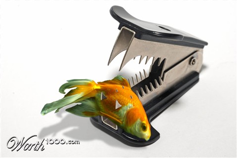 Photoshop Design by Dave0585