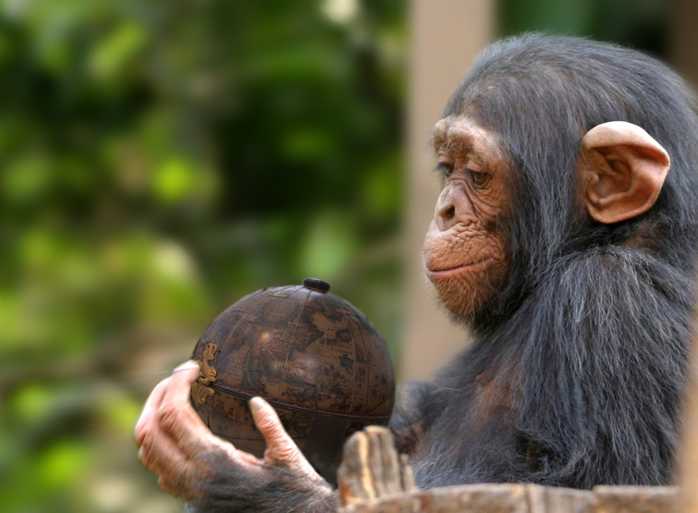 Photoshop Design by Webfreak for DesignCrowd (Community Contests) | Design #8954343