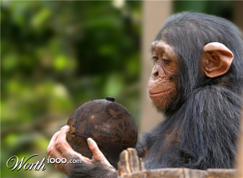 Photoshop Design by Webfreak