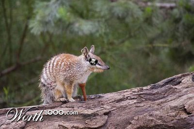 Photoshop Design by rolloverpudding