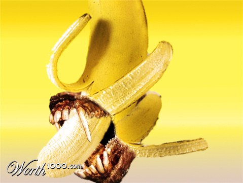 Photoshop Design by gildesign