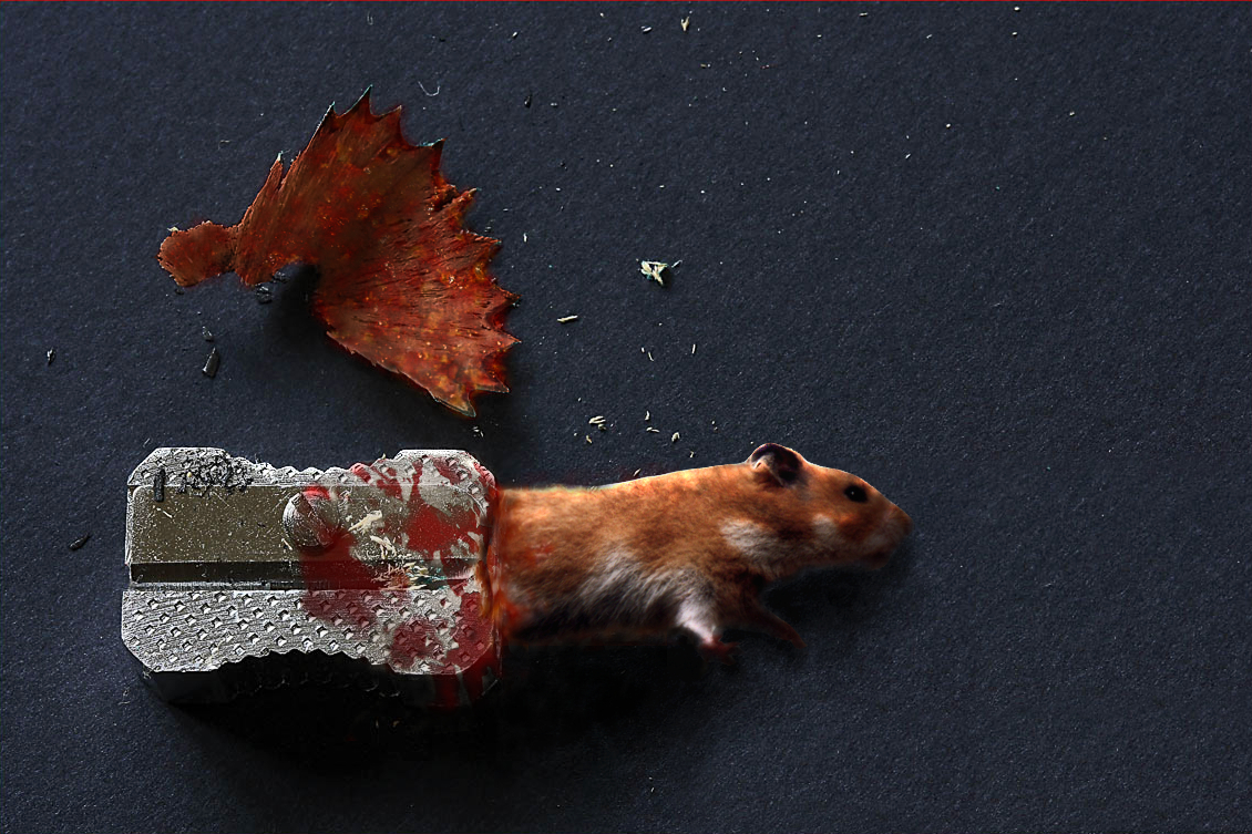 Photoshop Design by montaner for DesignCrowd (Community Contests) | Design #8955824