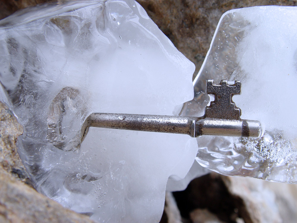 Photography by shanethemainman for DesignCrowd (Community Contests) | Design #8956216