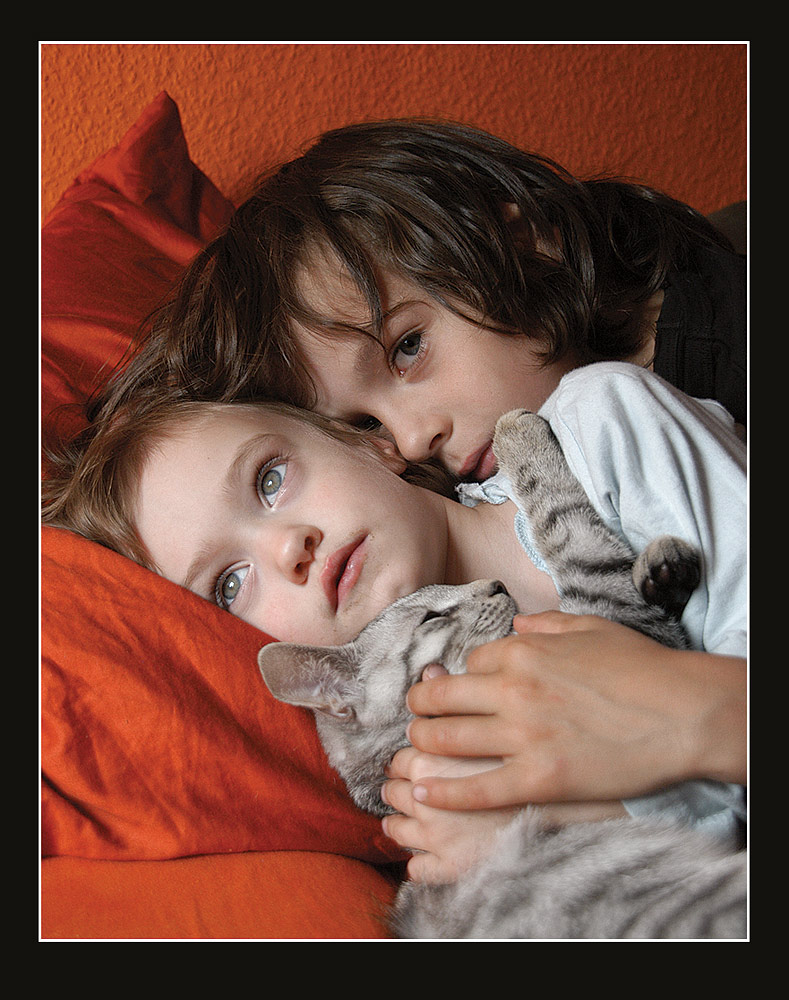 Fotografía por stewacrowd para DesignCrowd (Community Contests) | Diseño #8956880