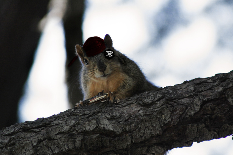 Photoshop Design by Deathimmortal for DesignCrowd (Community Contests) | Design #8957601