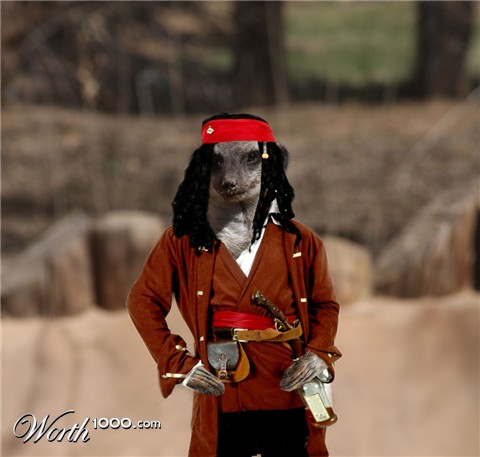 Photoshop Design by darealflow