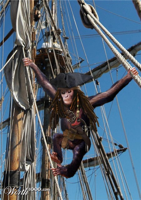 Photoshop Design by blazingstar