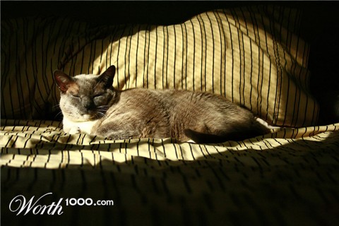 Photography by tmalone