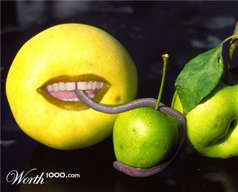 Photoshop Design by bicyclewilli