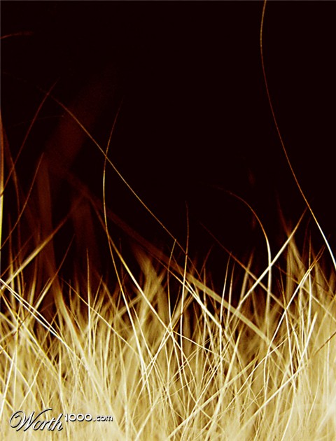 Photography by tattooholly