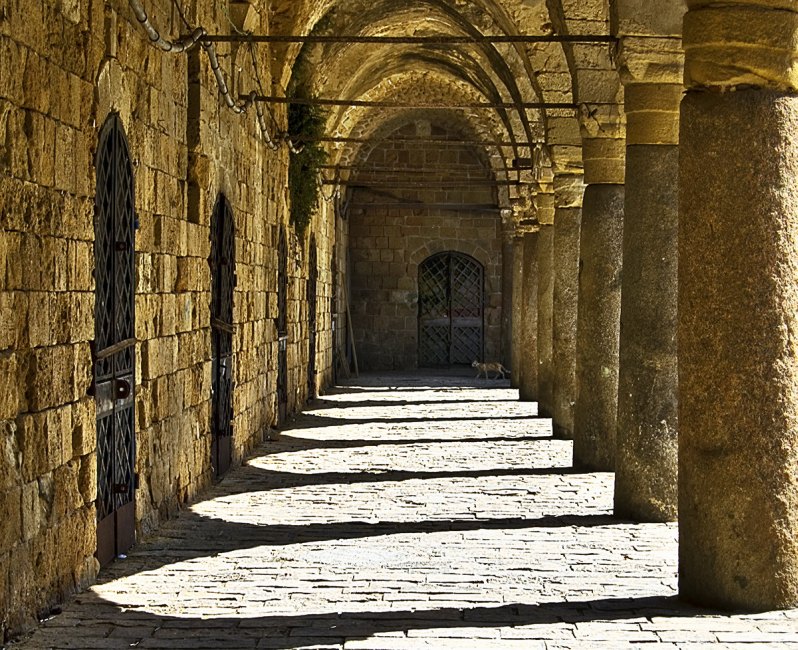 Photography by NatashaP for DesignCrowd (Community Contests) | Design #8955395