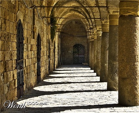 Photography by NatashaP