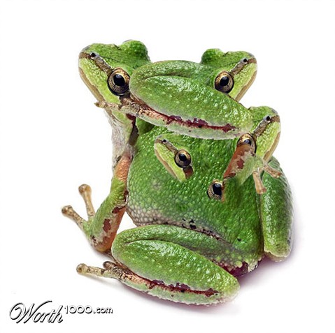 Photoshop Design by gorefan