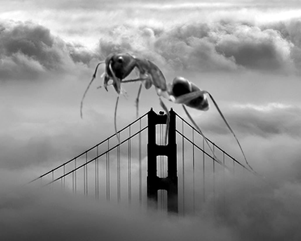 Photoshop Design by pendi29 for DesignCrowd (Community Contests) | Design #8957905