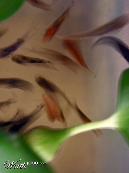 Photography by eslwinshot