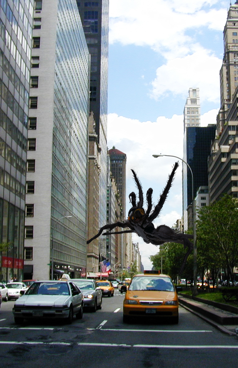 Photoshop Design by visualX for DesignCrowd (Community Contests) | Design #8957939