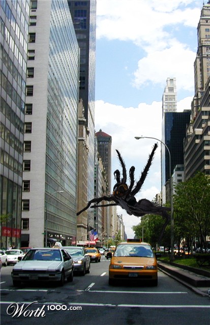 Photoshop Design by visualX