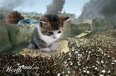 Photoshop Design by designereye