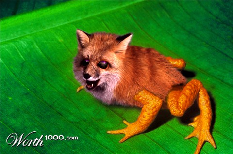 Photoshop Design by PhilmPhalm
