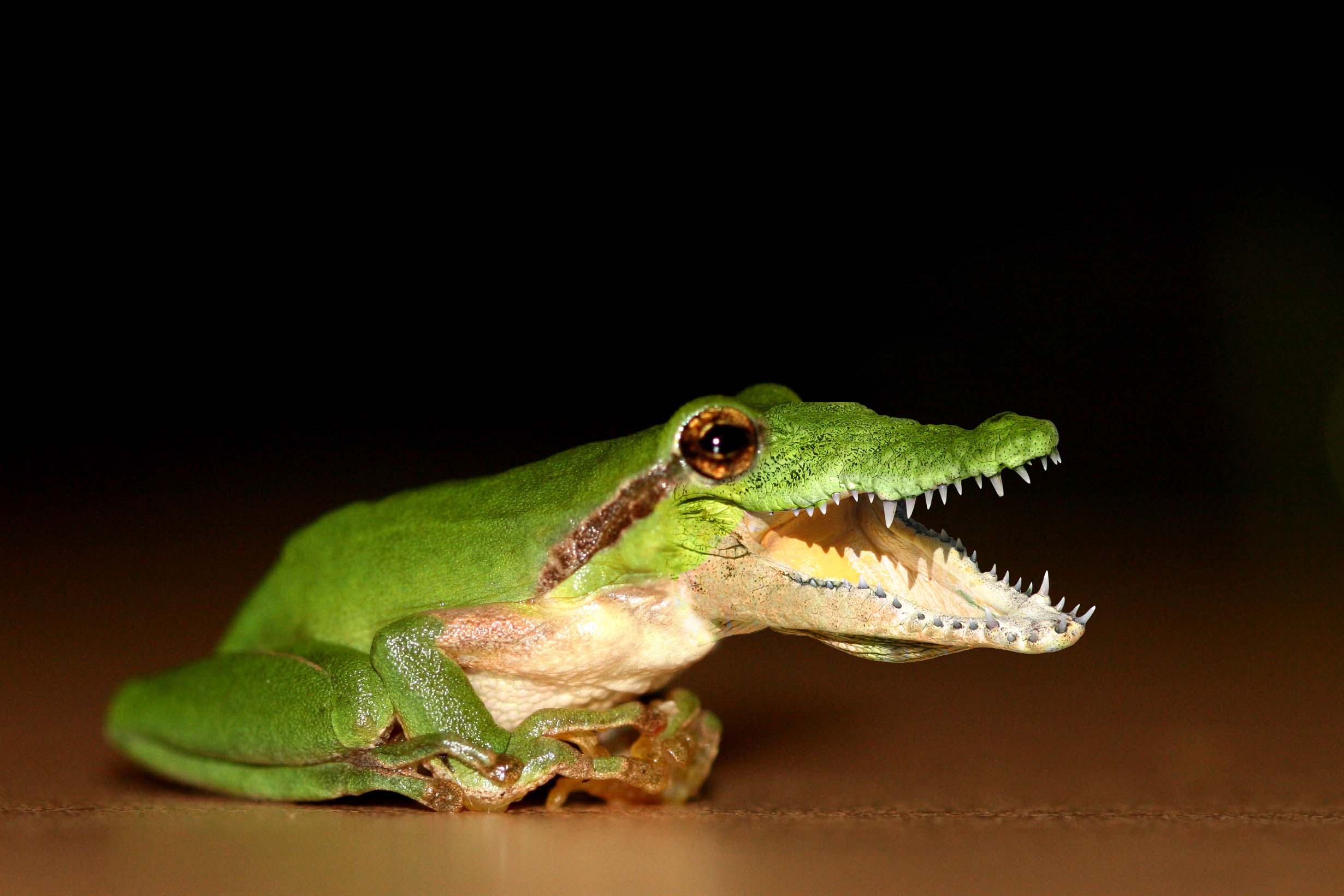 Photoshop Design by jerrylee17 for DesignCrowd (Community Contests) | Design #8958379