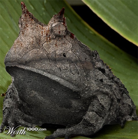 Photoshop Design by sarateres