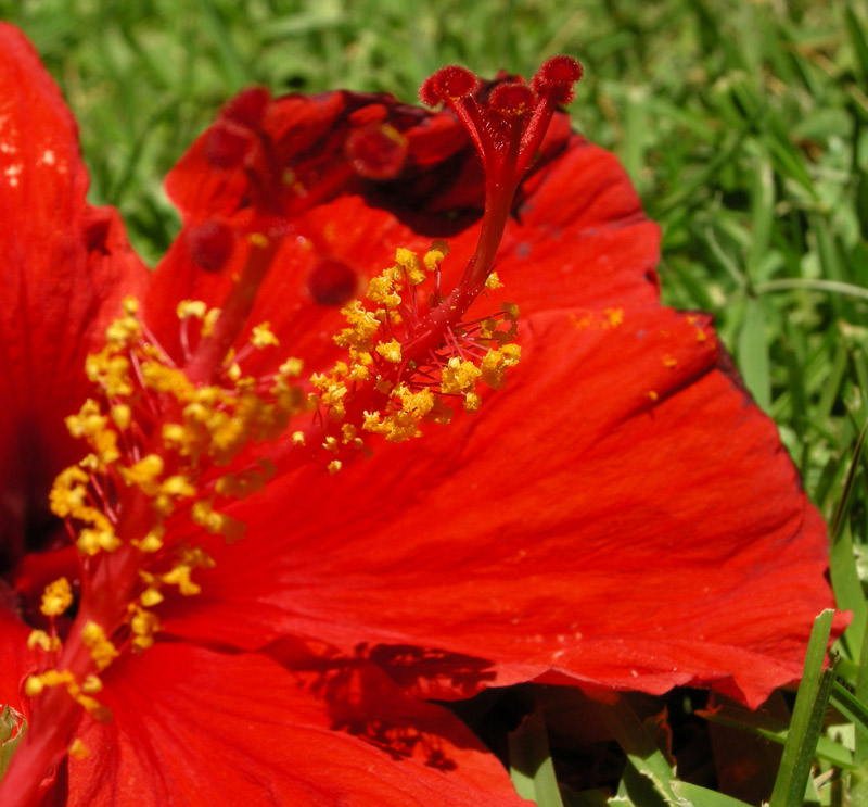 Photography by ASpedition for DesignCrowd (Community Contests) | Design #8951455