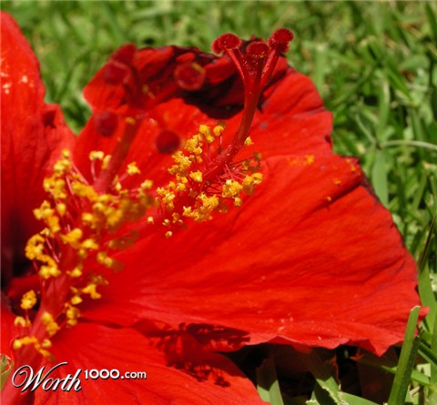 Photography by ASpedition