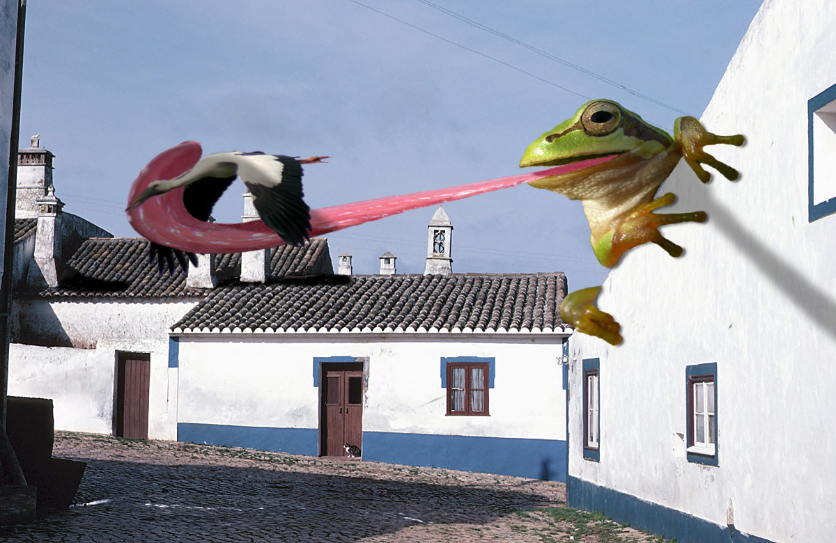 Photoshop Design by bicyclewilli for DesignCrowd (Community Contests) | Design #8958418