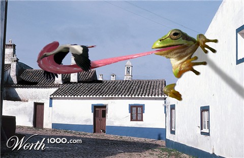 Photoshop Design by bicyclewilli