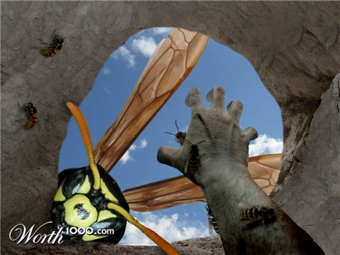 Photoshop Design by cmumiddle