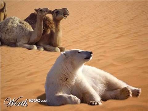 Photoshop Design by jrsoares