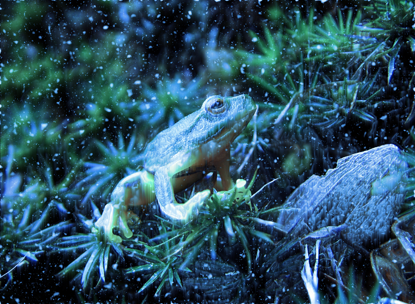 Photoshop Design by kenposam for DesignCrowd (Community Contests) | Design #8958919