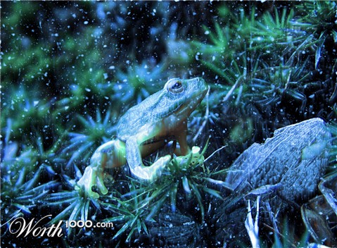 Photoshop Design by kenposam