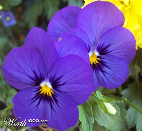 Photography by mindy3051