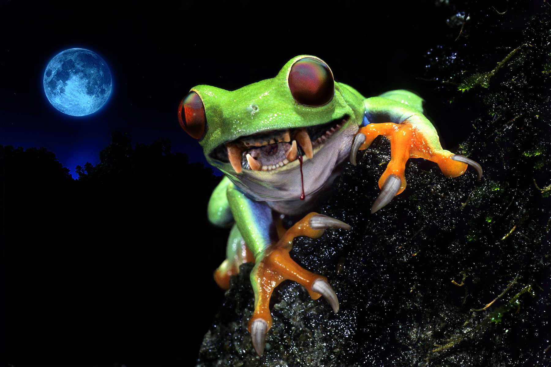 Photoshop Design by phoneymoon for DesignCrowd (Community Contests) | Design #8958470