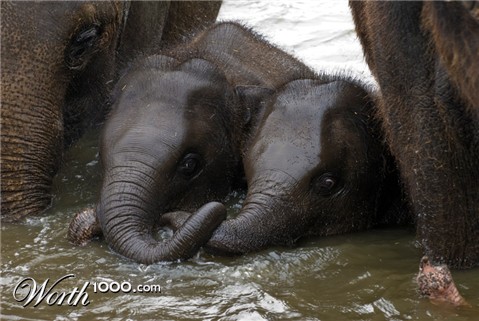 Photography by Snakeyesman