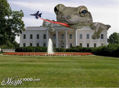 Photoshop Design by jenconger
