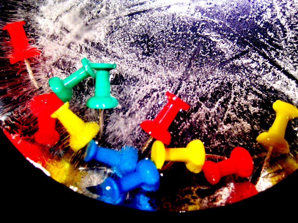 Photography by cherryontop98 for DesignCrowd (Community Contests) | Design #8956289