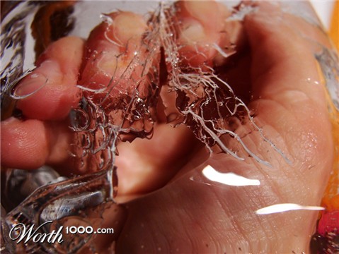 Photography by dimwit91