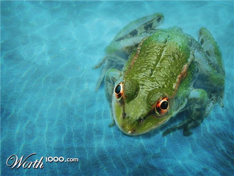 Photoshop Design by daunting