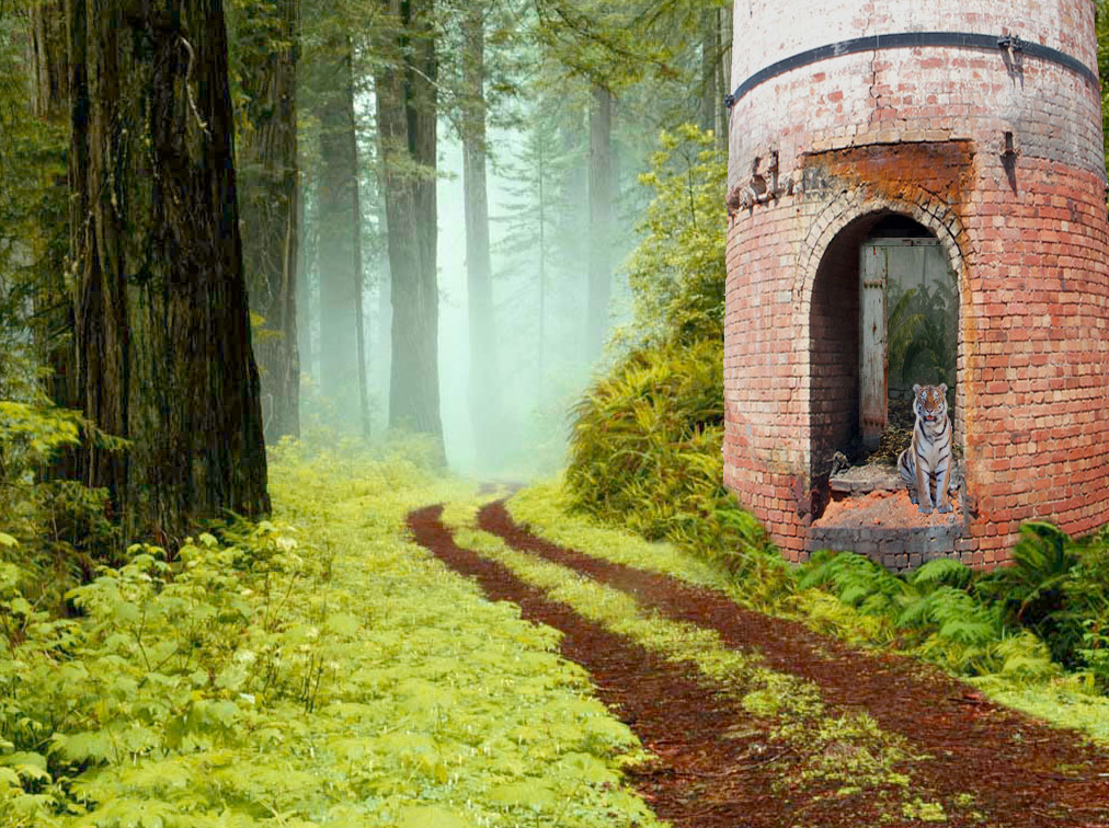 Photoshop Design by erinwalshe for DesignCrowd (Community Contests) | Design #8958213