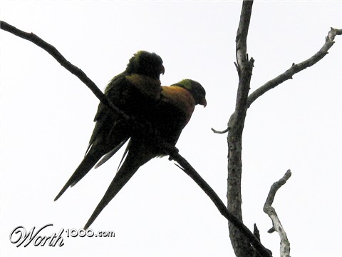 Photography by Swish1940