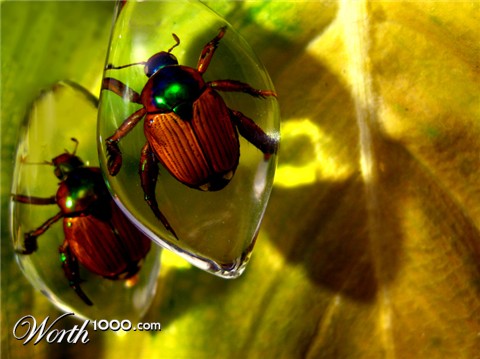 Photography by tattooholly