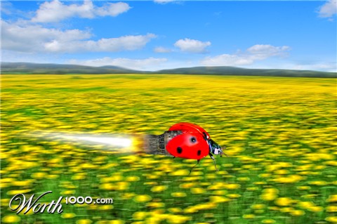 Photoshop Design by kremerb