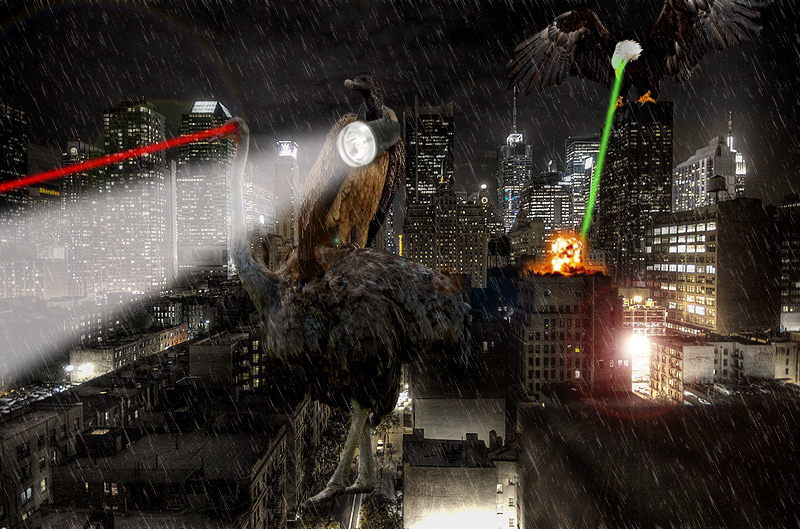 Photoshop Design by alesiphoto for DesignCrowd (Community Contests) | Design #8957967