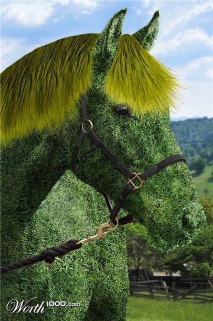 Photoshop Design by blazingstar